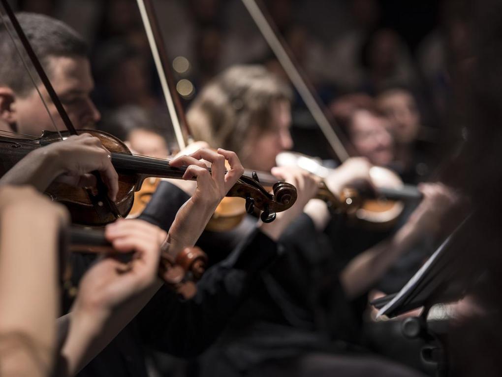 violins-1838390_1280(1)
